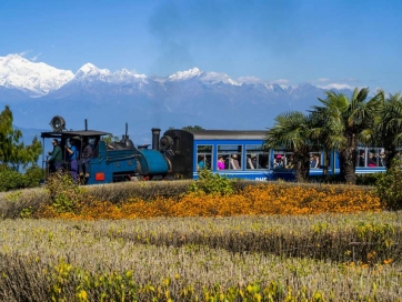 Darjeeling Local Sightseeing 